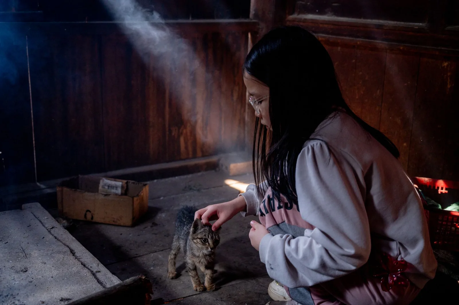 A girl wearing glasses pets a kitten in a cozy, rustic room with natural light streaming in.